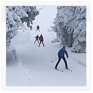 Soustředění na běžkách 28.1. - 1.2.2015 | VKOLOMOUC