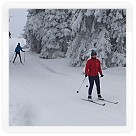 Soustředění na běžkách 28.1. - 1.2.2015 | VKOLOMOUC