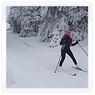 Soustředění na běžkách 28.1. - 1.2.2015 | VKOLOMOUC