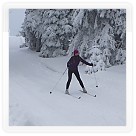Soustředění na běžkách 28.1. - 1.2.2015 | VKOLOMOUC