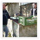 Jarní běh 2008 | VKOLOMOUC