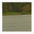 Jarní regata Brno | VKOLOMOUC