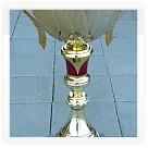 Mezinárodní regata juniorů Brno-Račice 2009 | VKOLOMOUC