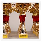 XVII. Mezinárodní MČR v jízdě na trenažéru 2010 | VKOLOMOUC