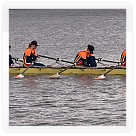 Jarní regata Brno 2013 | VKOLOMOUC
