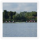 MSJ Hamburg 2014 | VKOLOMOUC