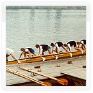 1985 - Pražské podzimní poháry (Zapletal, Vraštil, Konvička, Batěk, John Z., Skula, Vyhnálek, Rozehnal, korm. Lorenc)