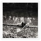 1983 - Trávníček